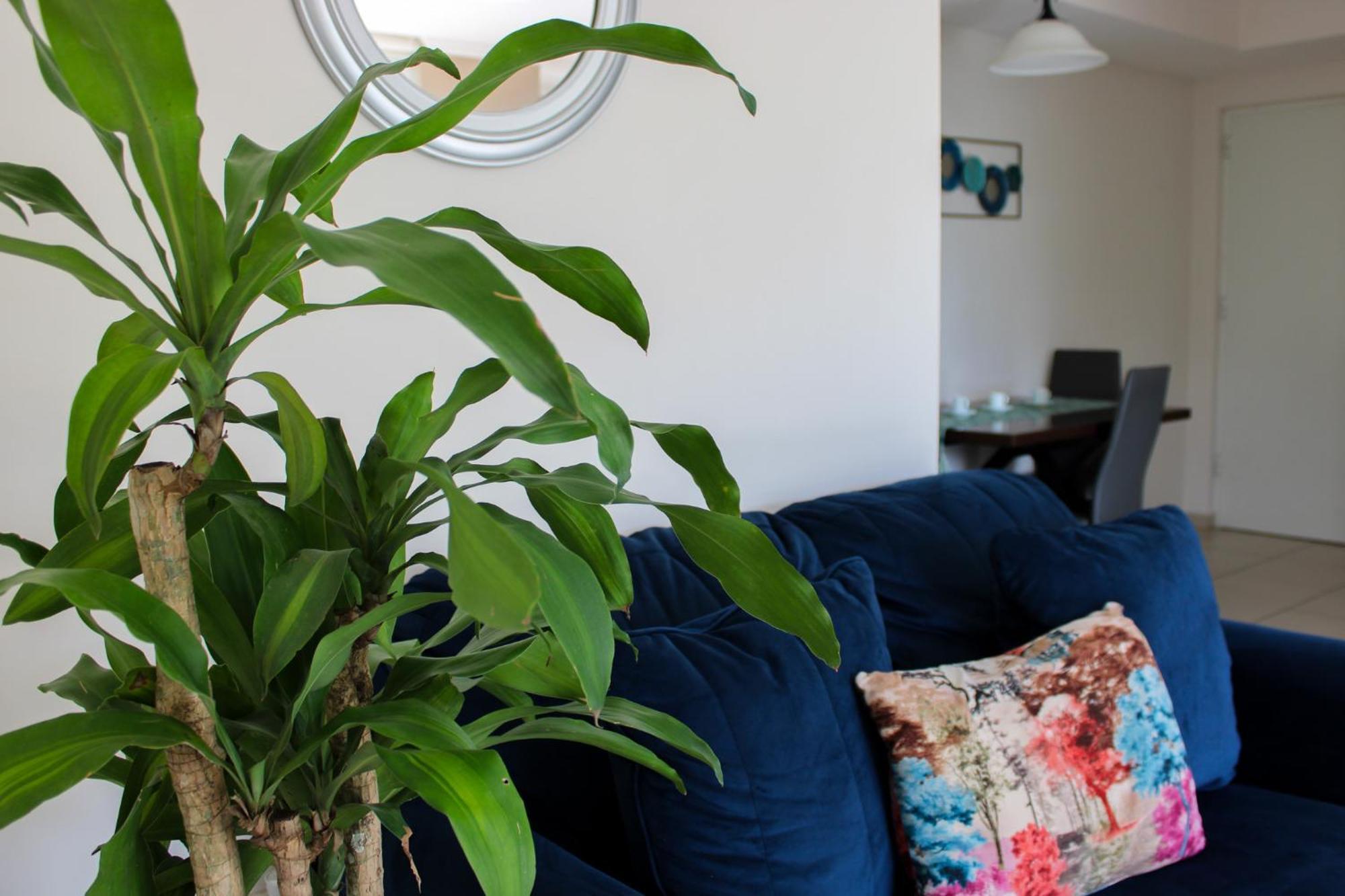 Great Family Apartment In Tegucigalpa Buitenkant foto