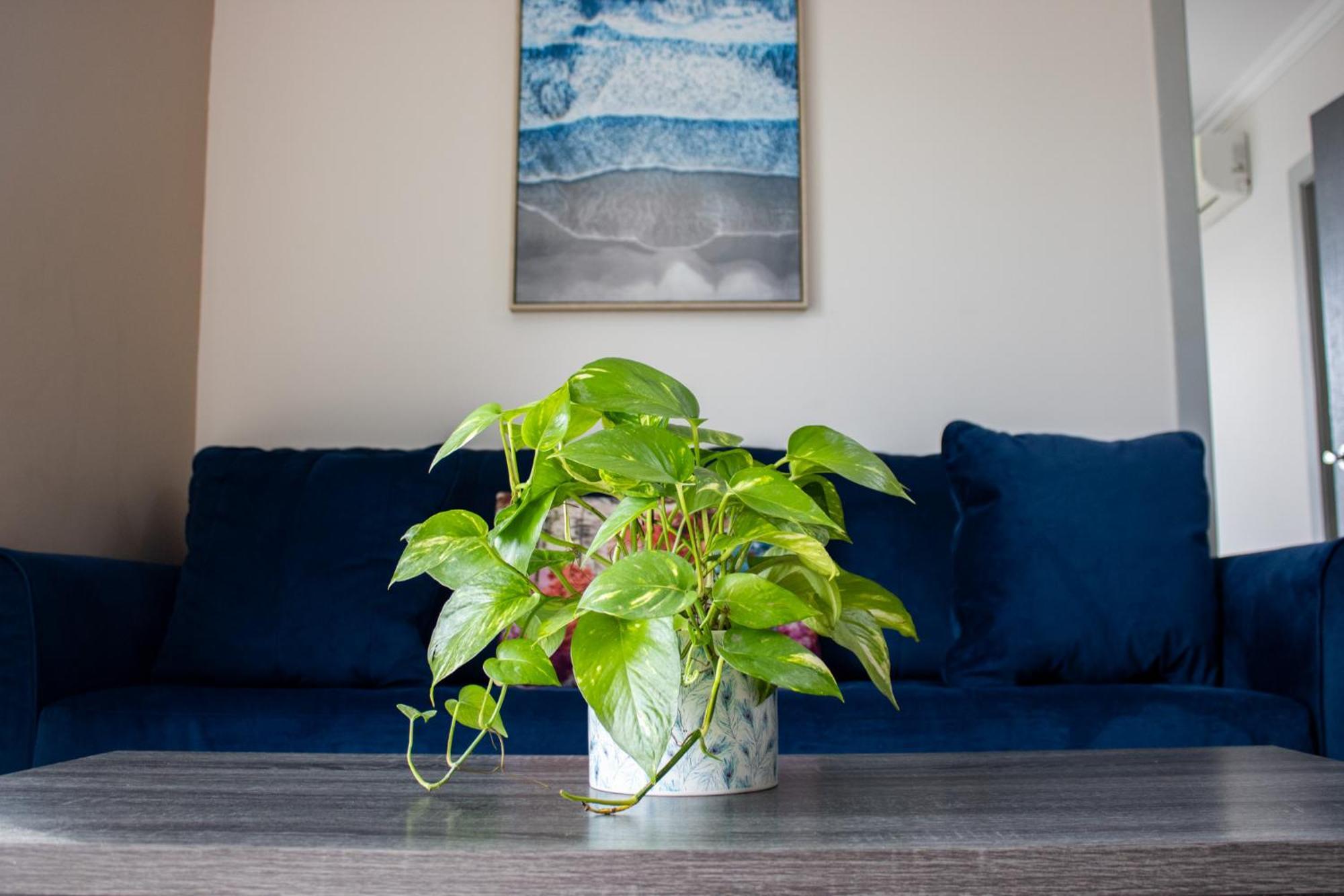 Great Family Apartment In Tegucigalpa Buitenkant foto